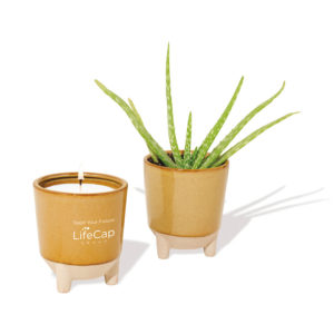 Green Gifts Office Gifts: Modern Sprout Glow & Grow Live Well Gift Set. Add your logo and order in bulk from Brand Spirit.