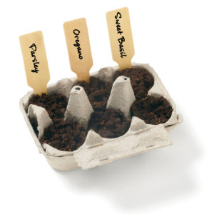 Custom Herb Kit with Logo: Grow Your Own Garden Kit-Italian Herb. As low as $4.99 each in bulk order from Brand Spirit Inc. 