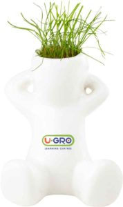 Custom Desk Plants with Pot: Grow Guy Planter with Grass Seed. As low as $2.25 each in bulk order from Brand Spirit Inc