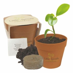 Custom Desk Plant with Seed options: Mini Bamboo Blossom Kit. As low as $2.09 each in bulk order from Brand Spirit Inc