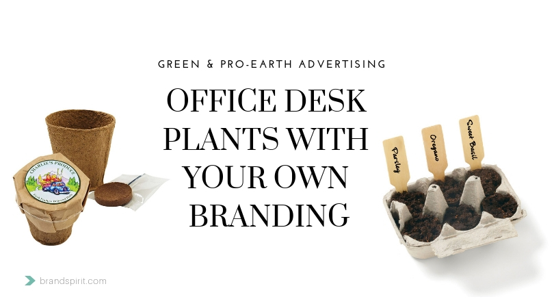 Office Giveaway Idea: Custom Desk Plants and Starter Plant Kits for employees. Order in bulk from Brand Spirit Inc
