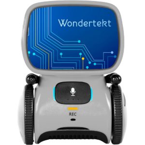 Christmas gifts for clients and employees: Aaytee Voice-activated Robot