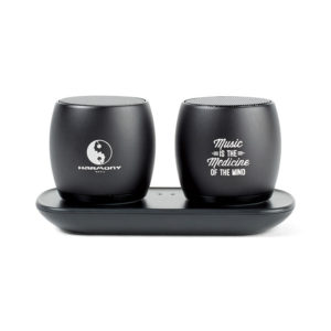 Trendy 2020 Promotional Products: Paxton Bluetooth® Pairing Speakers. 
