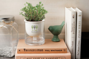 Return to Work Gifts: Self Watering Plant. Add your logo and order in bulk from Brand Spirit.