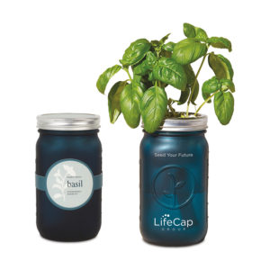 Edible Corporate Gift Ideas: Modern Sprout Indoor Herb Garden Kit. Add custom label and logo. Order in bulk from Brand Spirit.